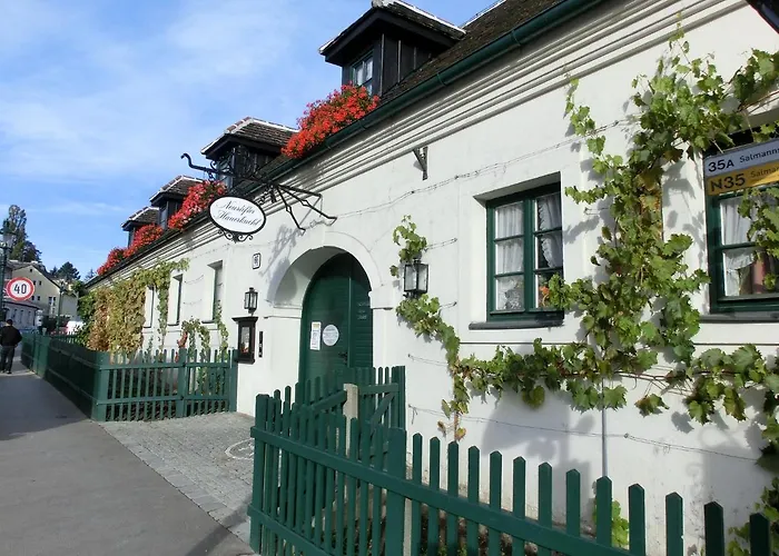 Apartment Viyana